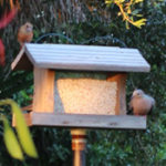 weathered wood birdfeeder