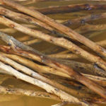 how to clean driftwood